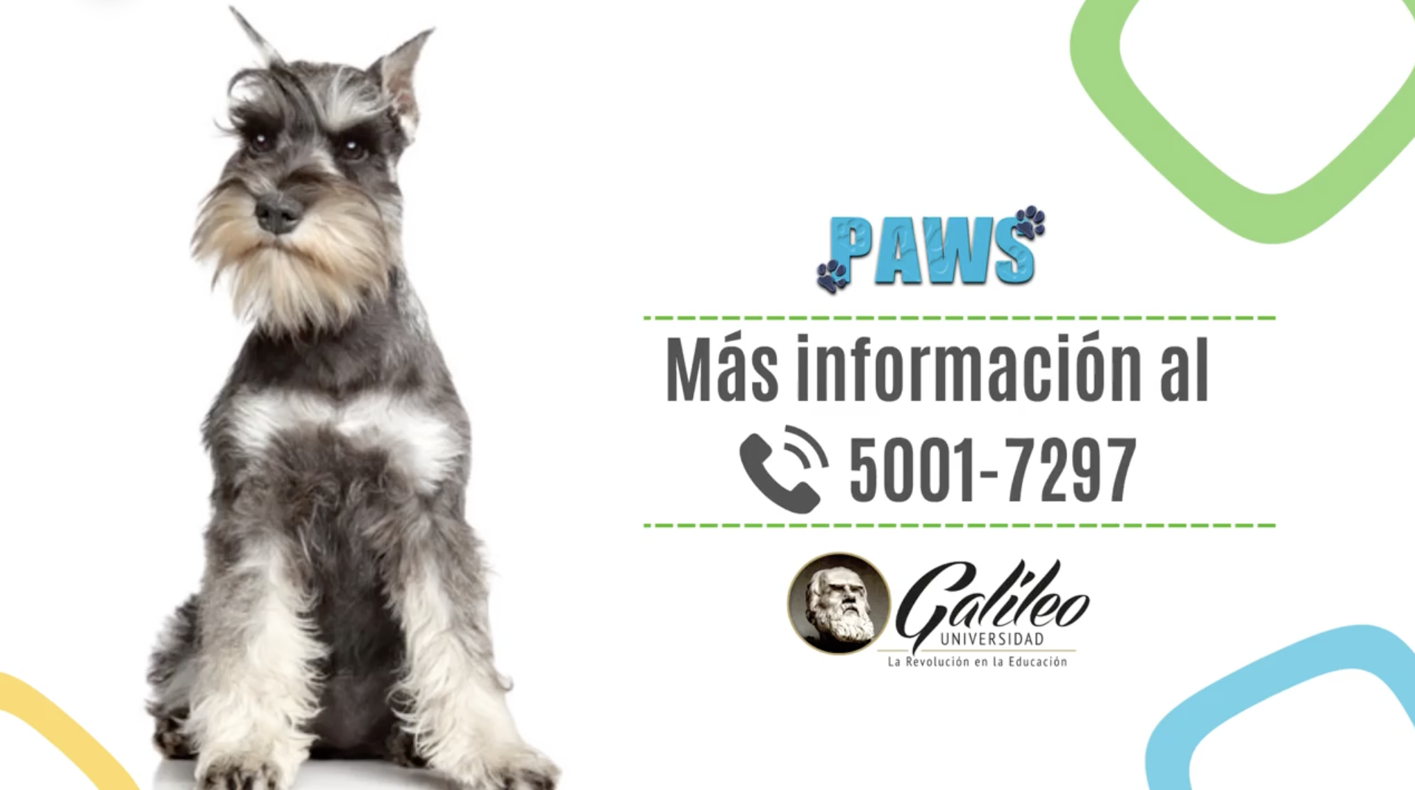 Imagen promocional del evento PELUQUERÍA Y ESTÉTICA CANINA - FACISA